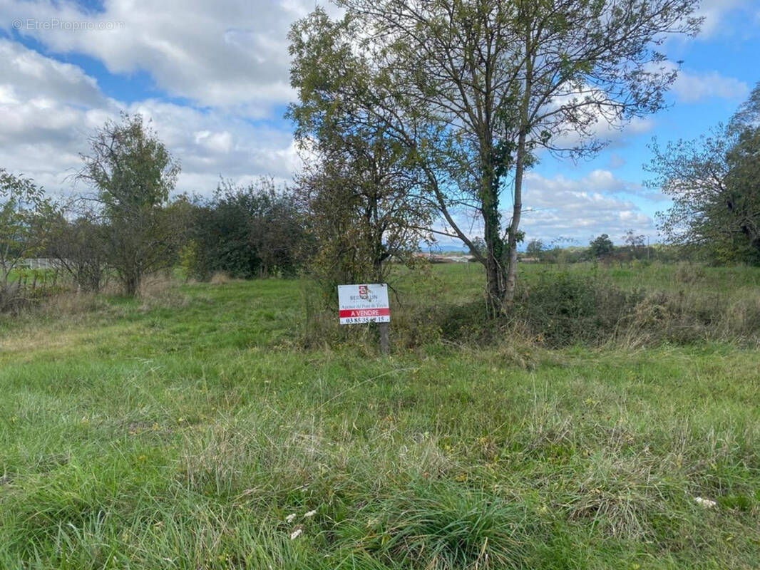 Terrain à SAINT-CYR-SUR-MENTHON