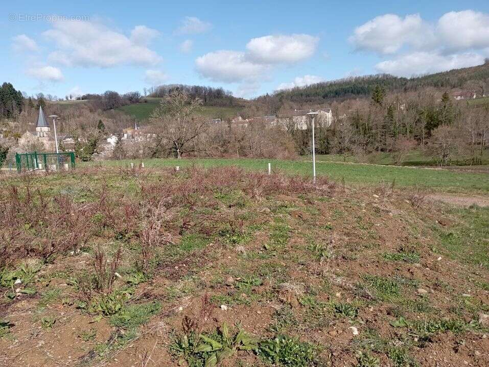 Terrain à FERRIERES-SUR-SICHON