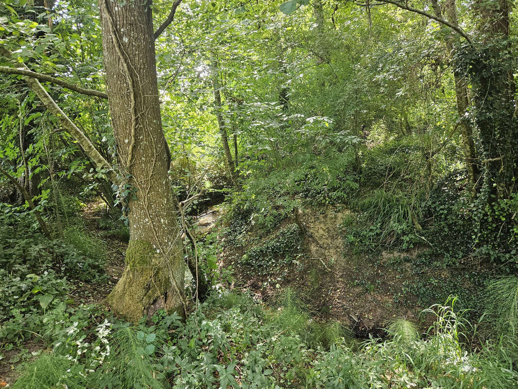 Terrain à COUTURES