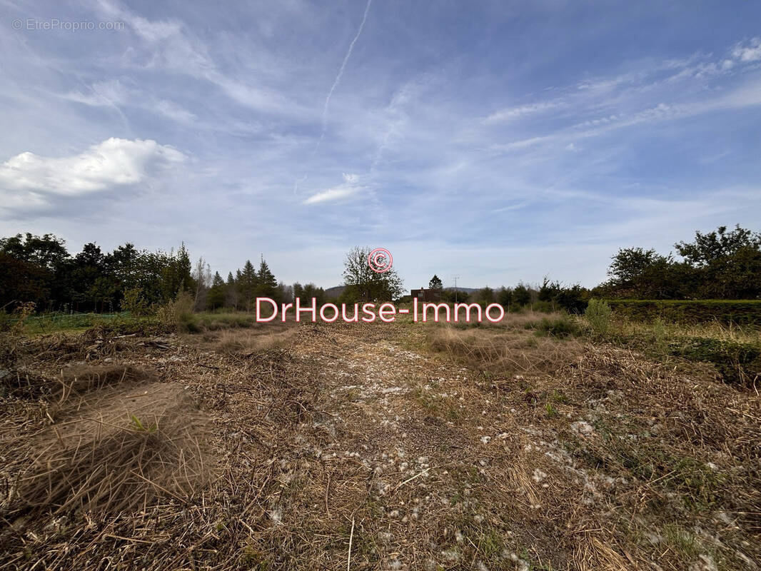 Terrain à PRESEAU