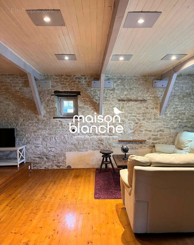 SALON - Maison à BALLON