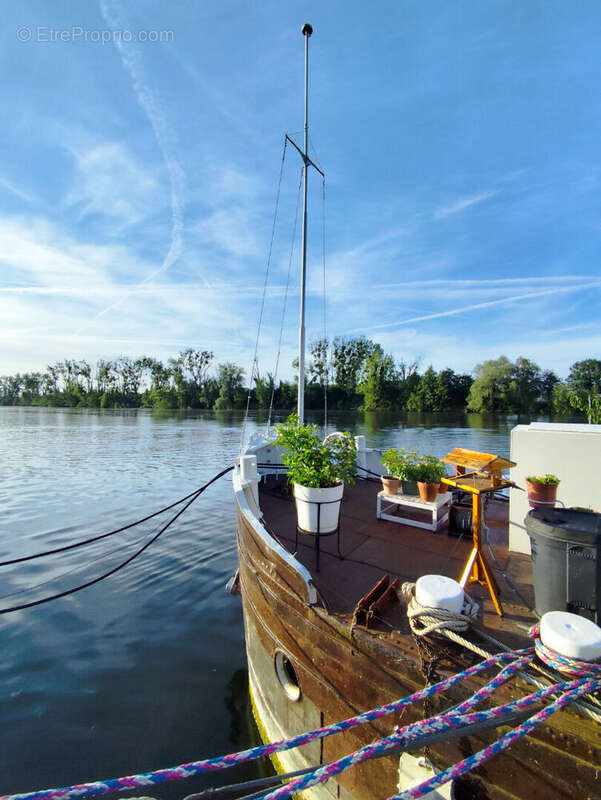 Péniche Conflans Sainte Honorine - photo 5