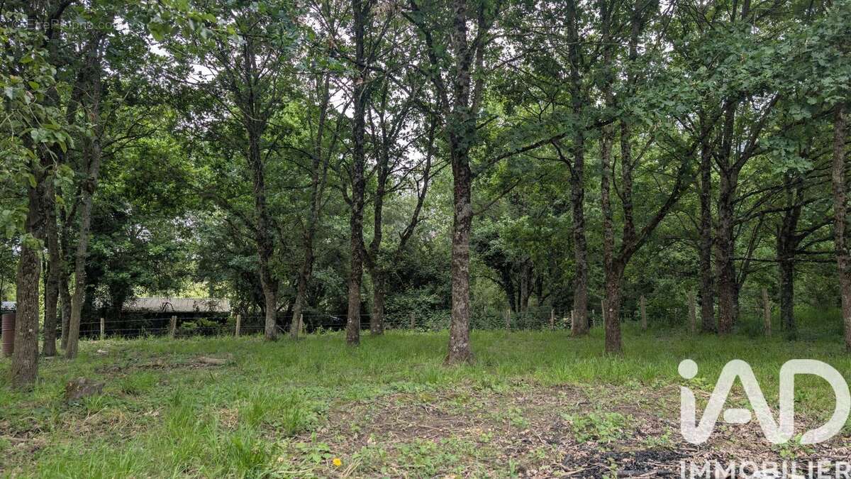 Maison 41 m² à Chemille-Sur-Deme  - photo 6