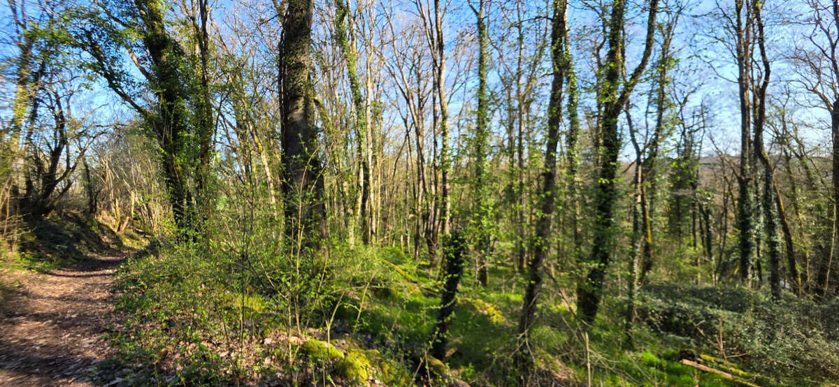 Terrain à ANGLES-SUR-L'ANGLIN