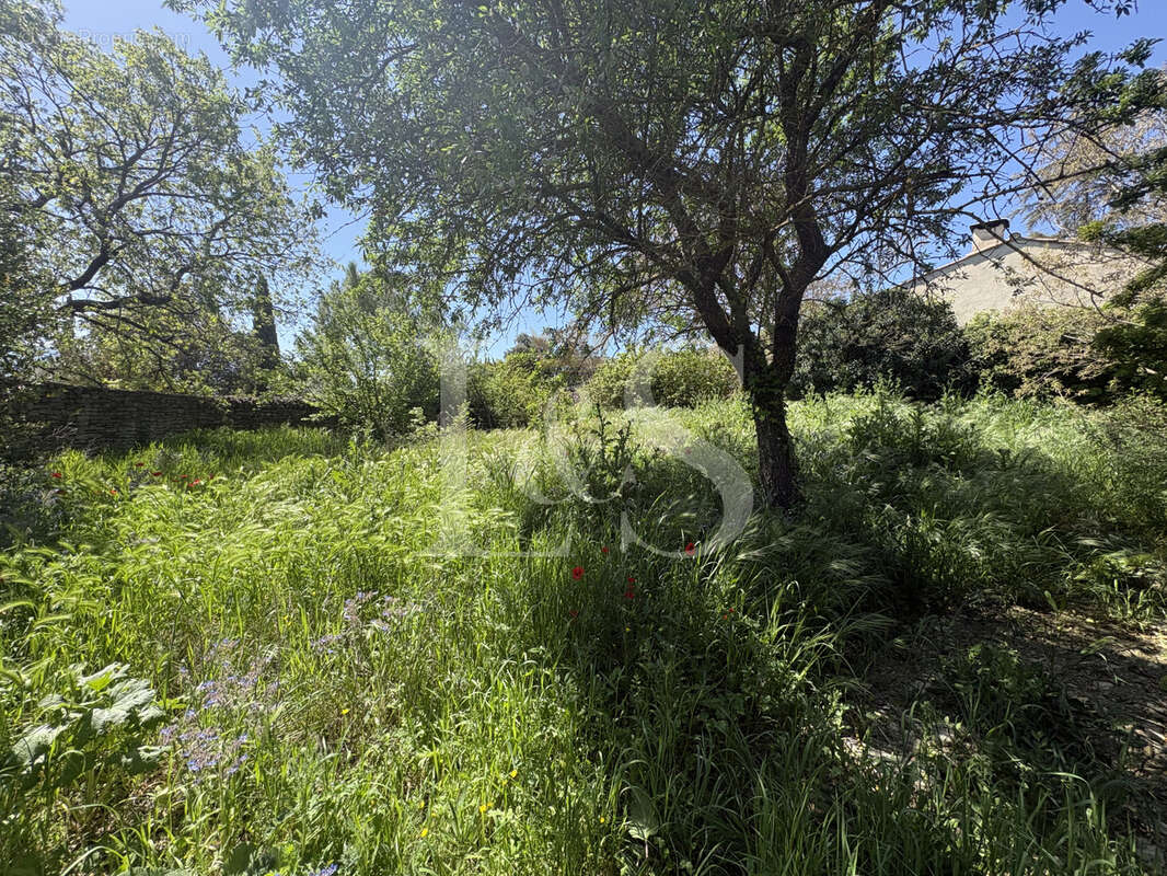 Terrain à CABRIERES-D'AVIGNON