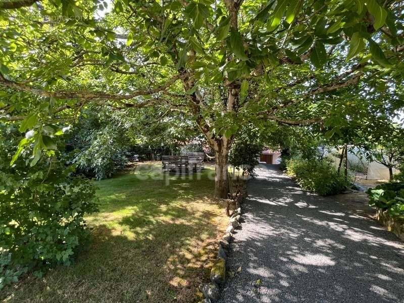 Propriété avec dépendances au coeur d’un jardin paysager– 230 m² habitables – À 10 min des plages des Sables-d'Olonne - photo 33