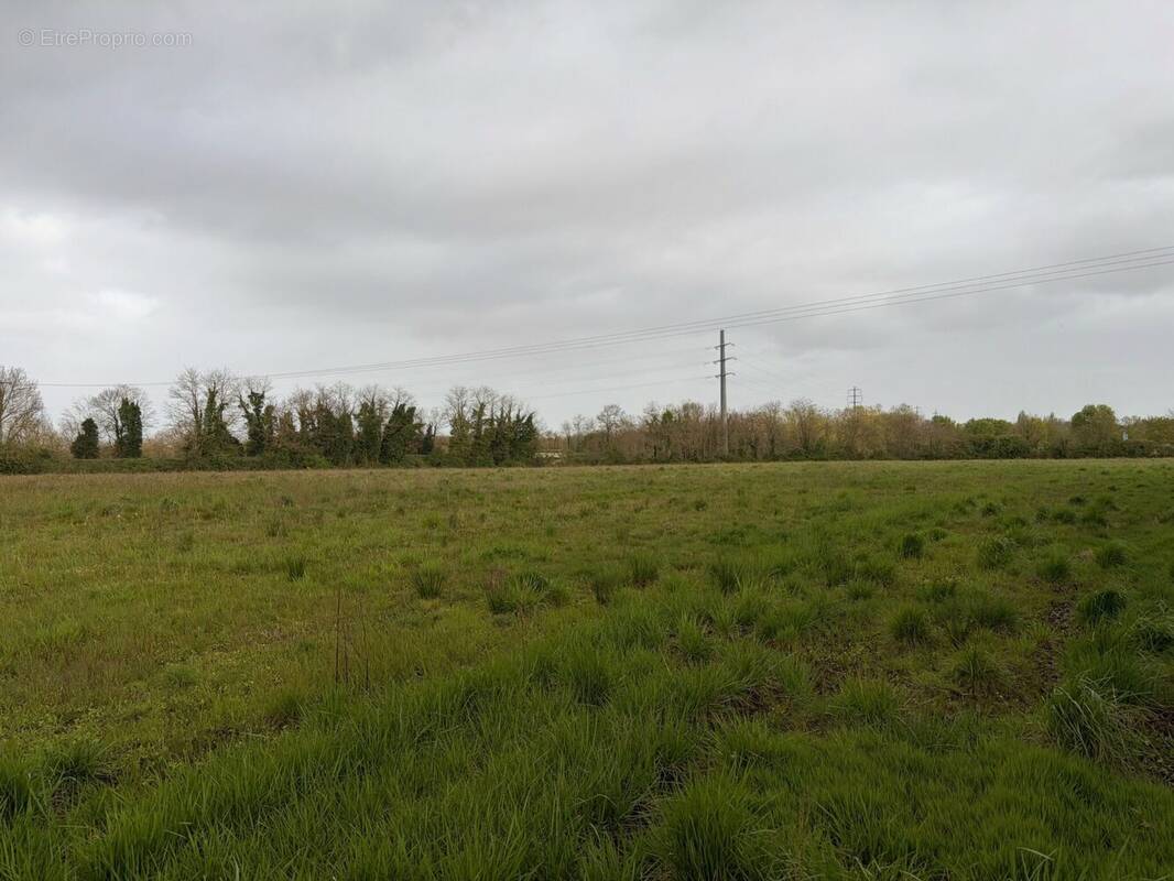 Terrain à LA ROCHELLE