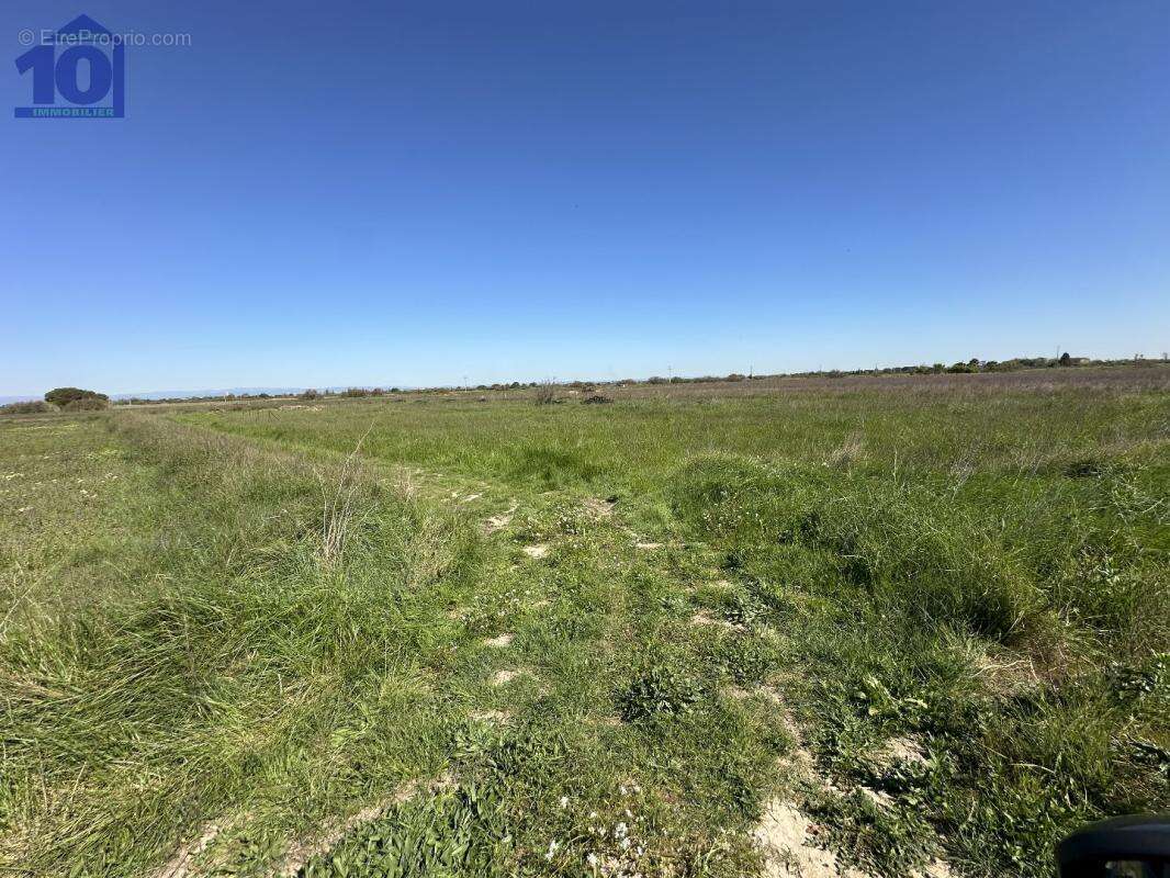 Terrain à SERIGNAN