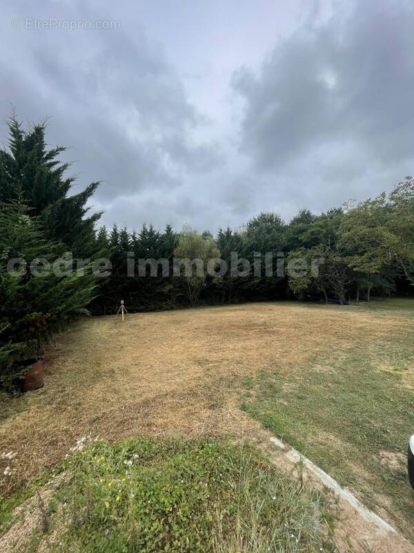 IMG_3072 - Terrain à ORLEANS