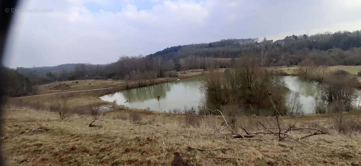 Propriété 50 ha avec chalet, étang, rivière, anciens bâtiments inductriels, prés, bois, terres - photo 2