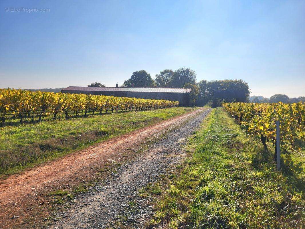 Maison à LE LANDREAU