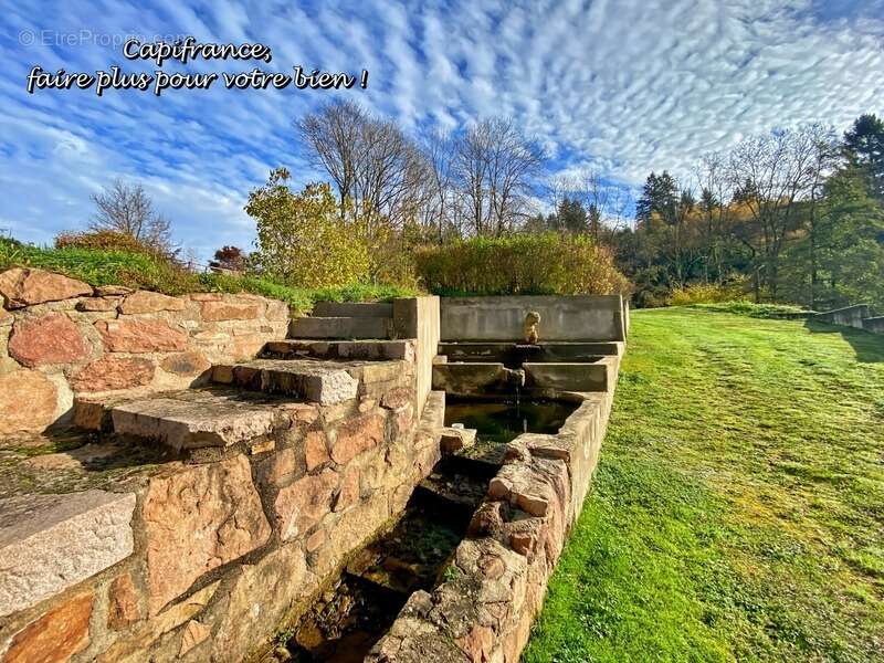 Maison à BELMONT-DE-LA-LOIRE