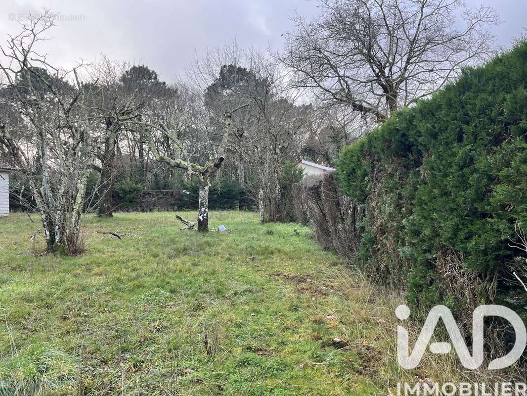 Photo 3 - Terrain à GUJAN-MESTRAS