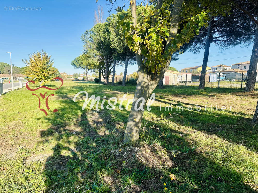 Terrain à AIGUES-MORTES