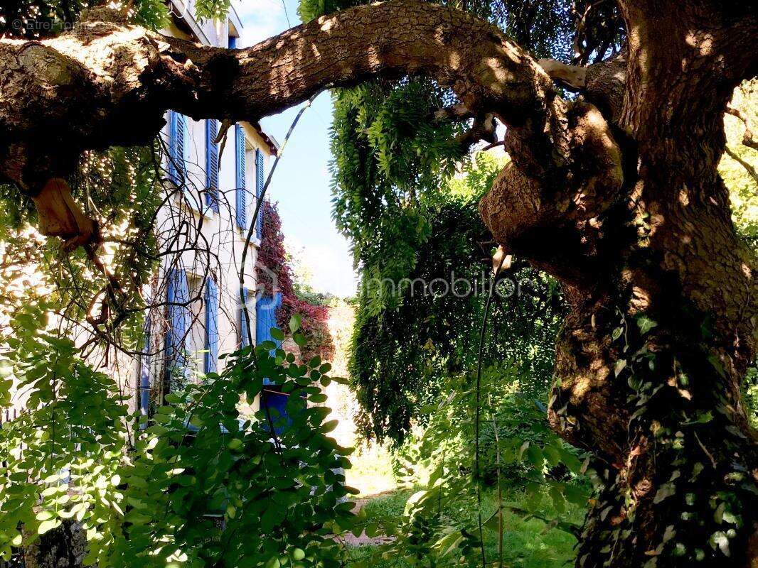 Maison à SAINT-MAIXENT-L&#039;ECOLE