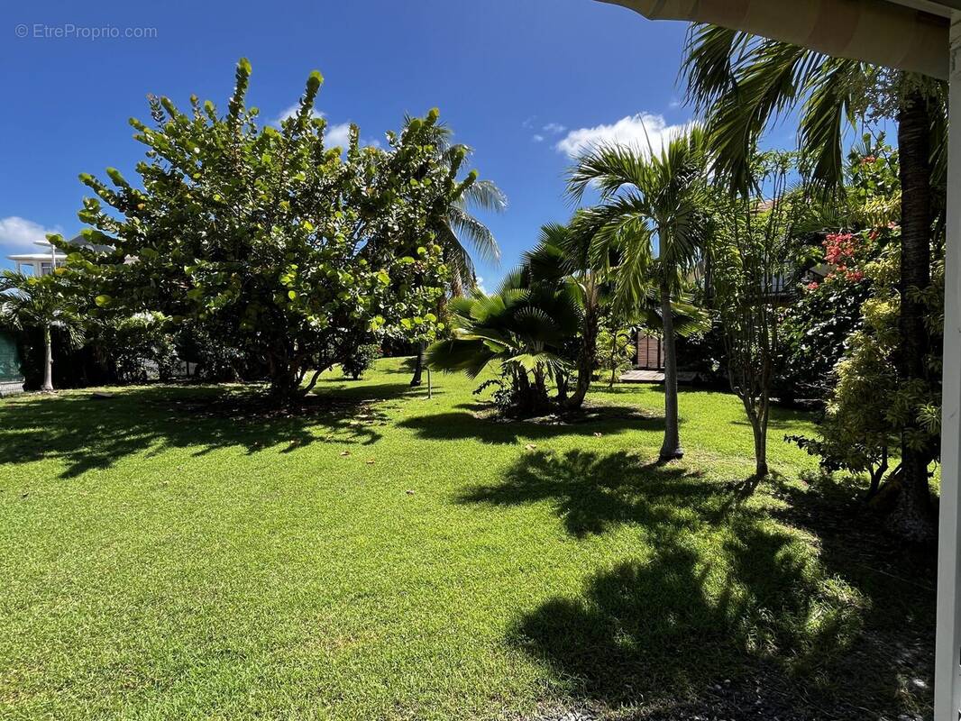 Appartement à SAINT-FRANCOIS