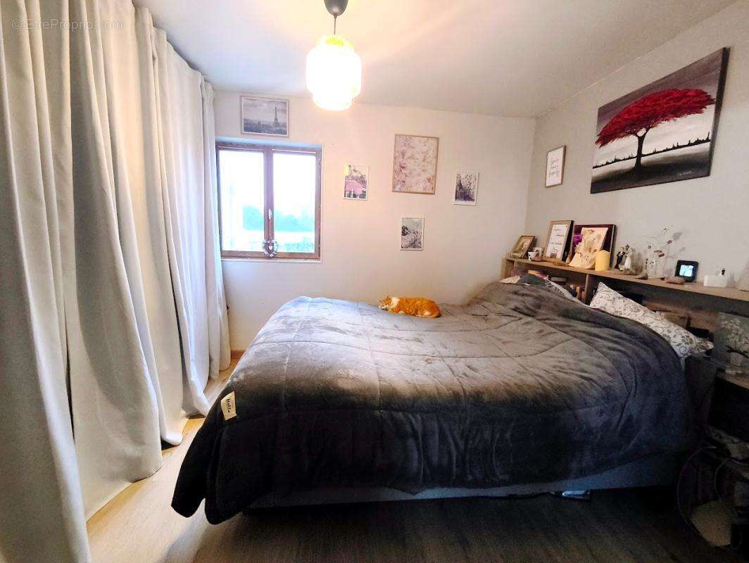 Maison Bouchy Saint Genest - photo 5