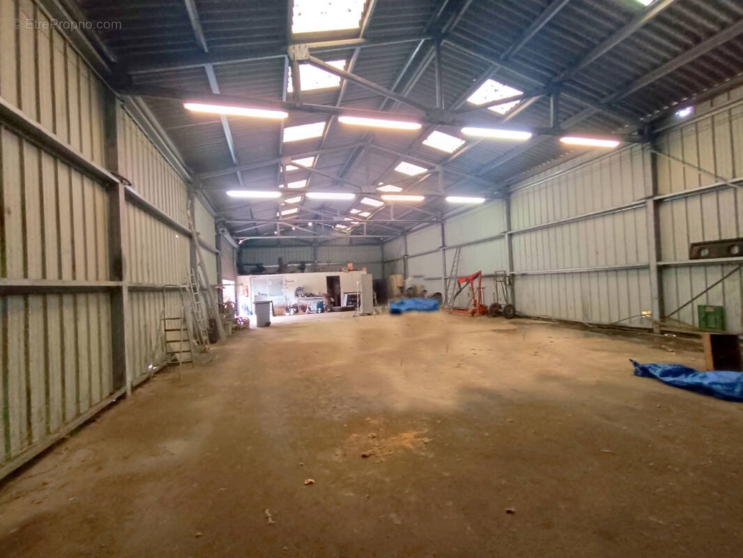 Commerce à CARCASSONNE