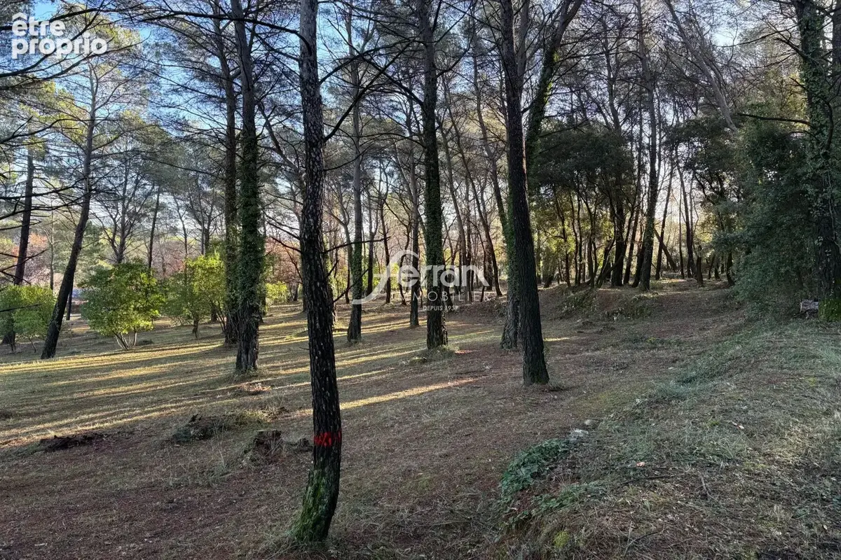 Terrain 7 100 m² à vendre à Callas (83830) - photo 7