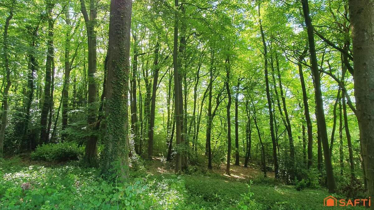 Photo 3 - Terrain à SAINT-GATIEN-DES-BOIS