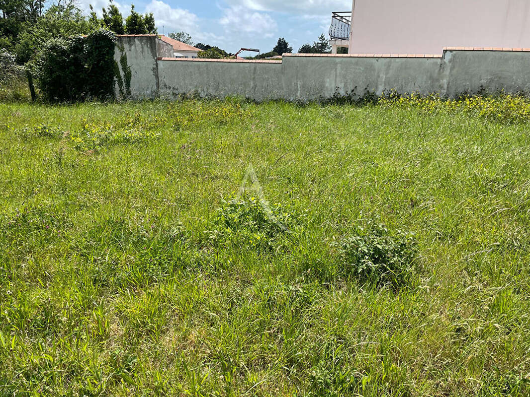 Terrain à BREM-SUR-MER