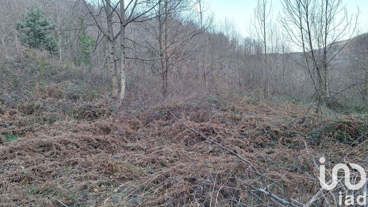 Photo 3 - Terrain à PRATS-DE-MOLLO-LA-PRESTE