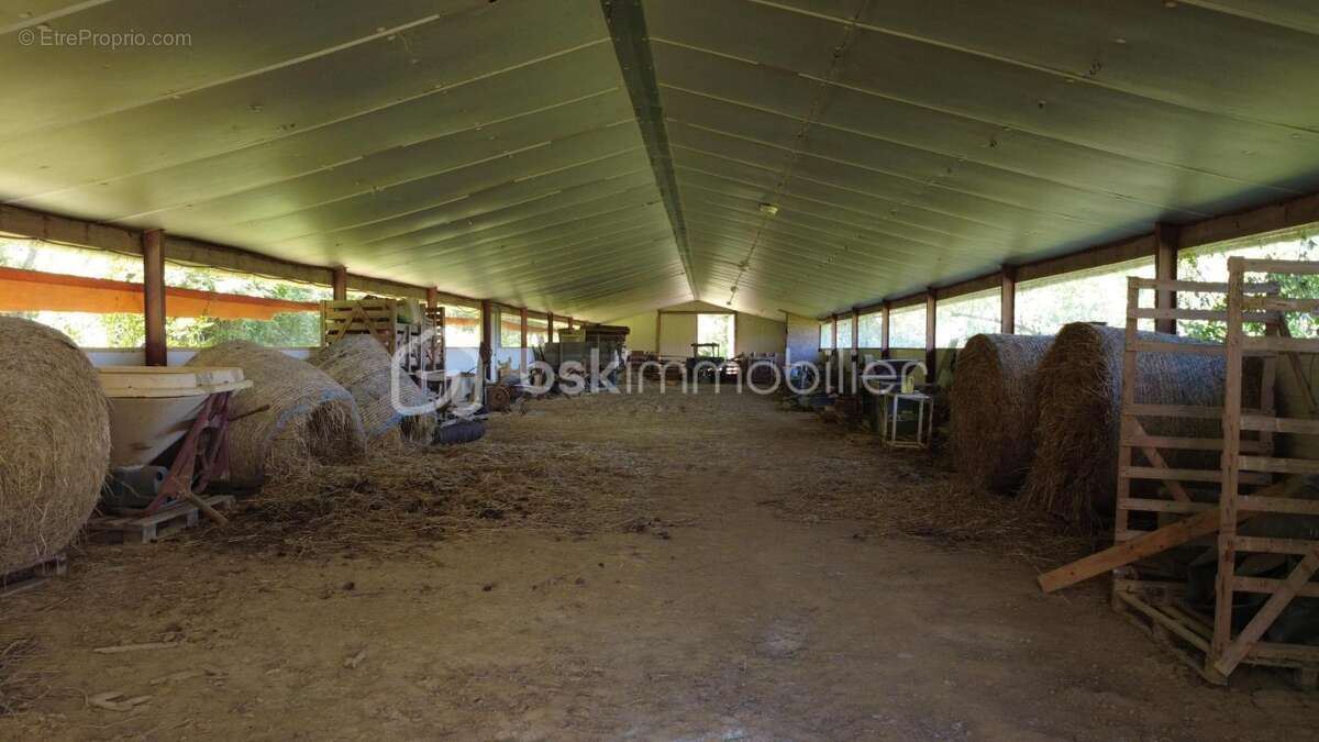  le domaine des possibles infinis  - photo 9