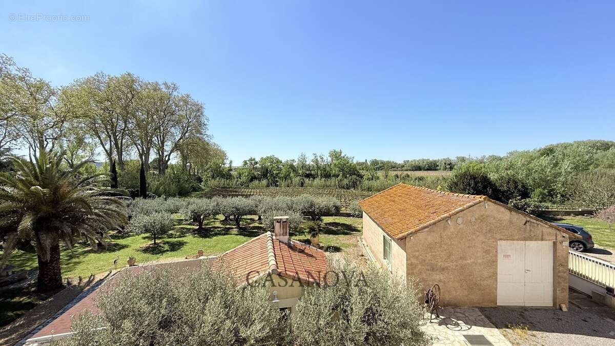 Maison vigneronne avec dépendances, piscine et terrain arboré entre Montpellier et Béziers - photo 2