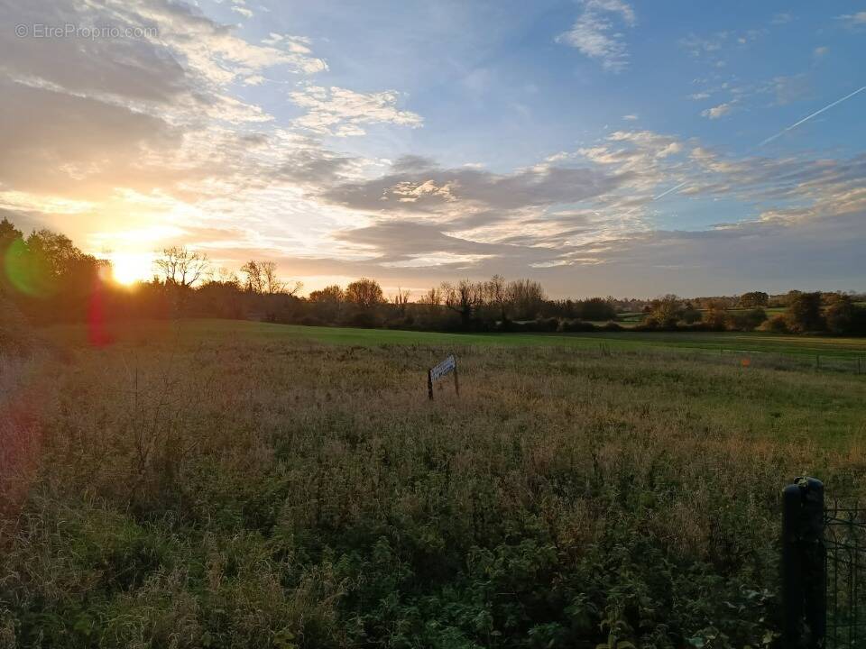Terrain à MESNIERES-EN-BRAY