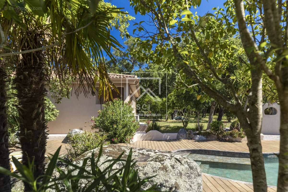 Maison à PORTO-VECCHIO