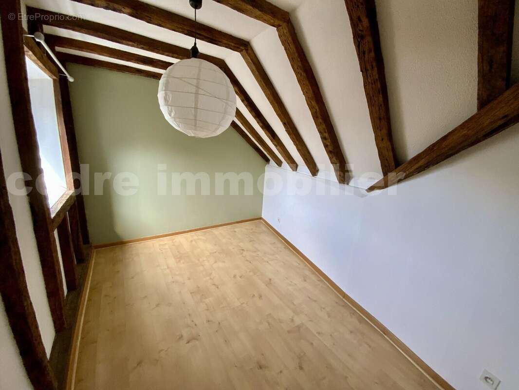 IMG_3405 - Appartement à OLIVET