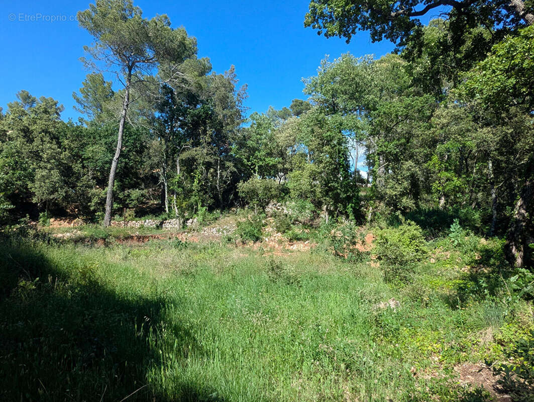 Terrain à SILLANS-LA-CASCADE