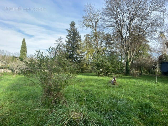 Terrain à CUSSAC-FORT-MEDOC