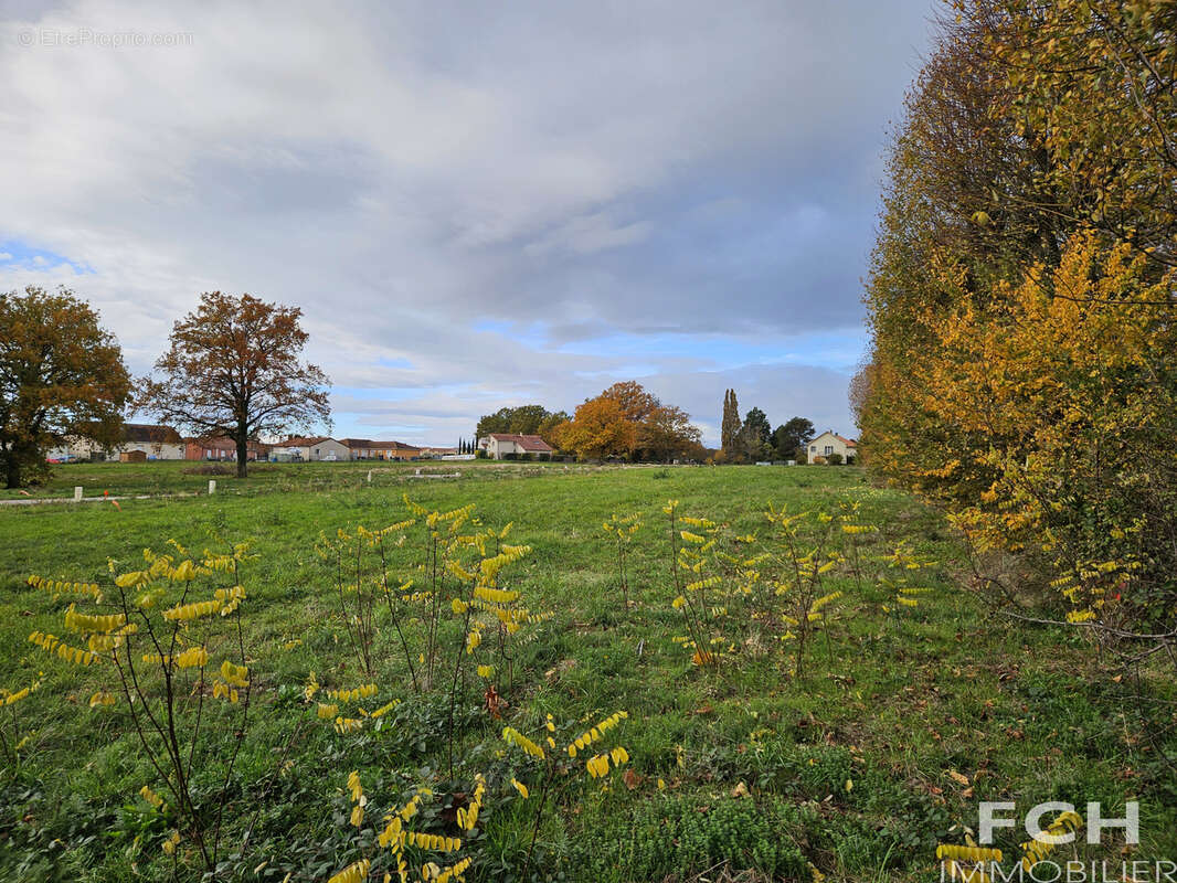 Terrain à BELLERIVE-SUR-ALLIER