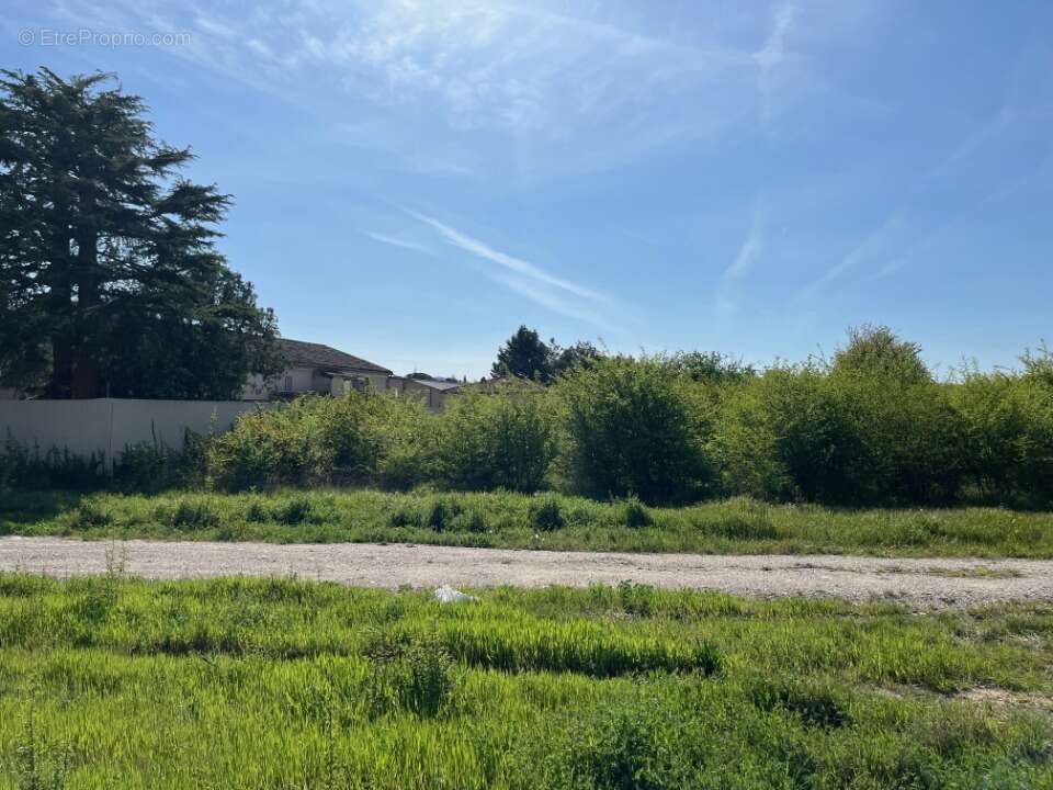 Terrain à VAISON-LA-ROMAINE