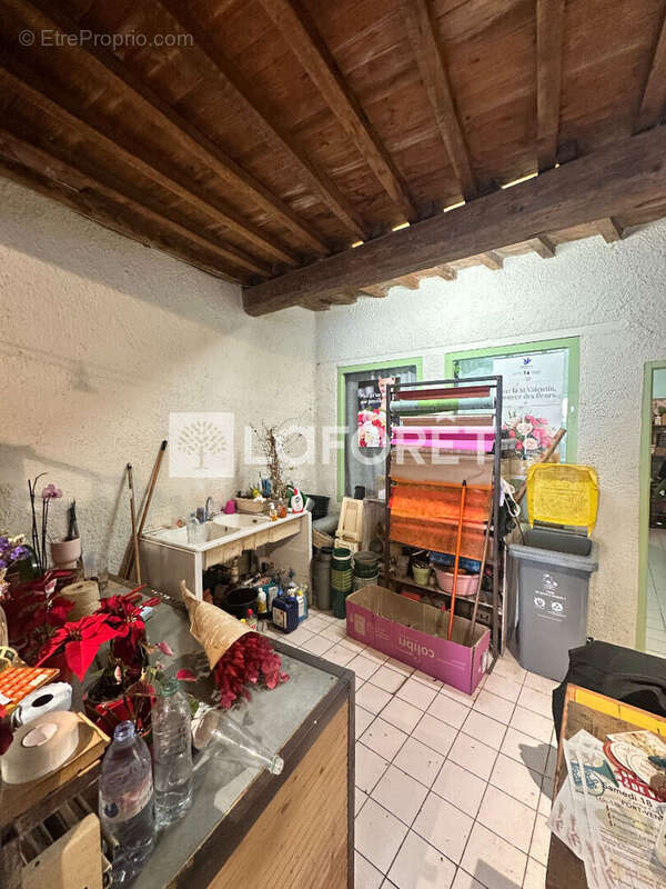 Commerce à COLLIOURE