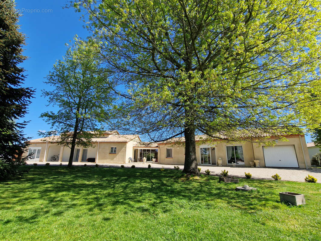 Maison à SAINTE-LIVRADE-SUR-LOT