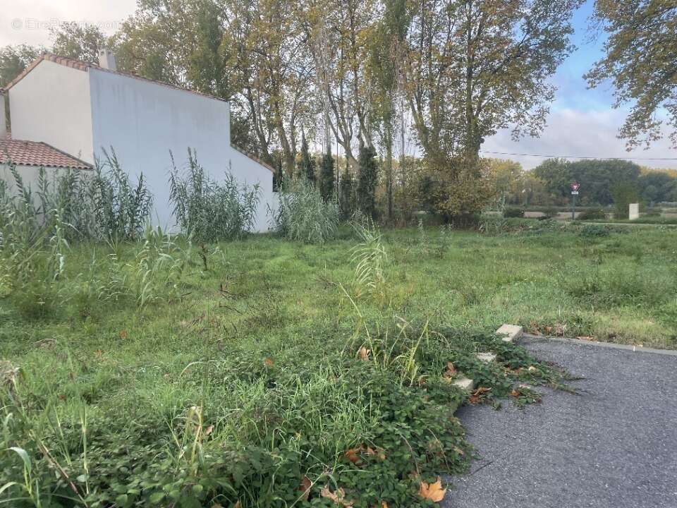 Terrain à MALLEMORT