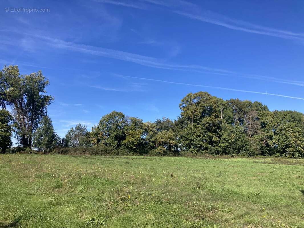 Terrain à LA COQUILLE