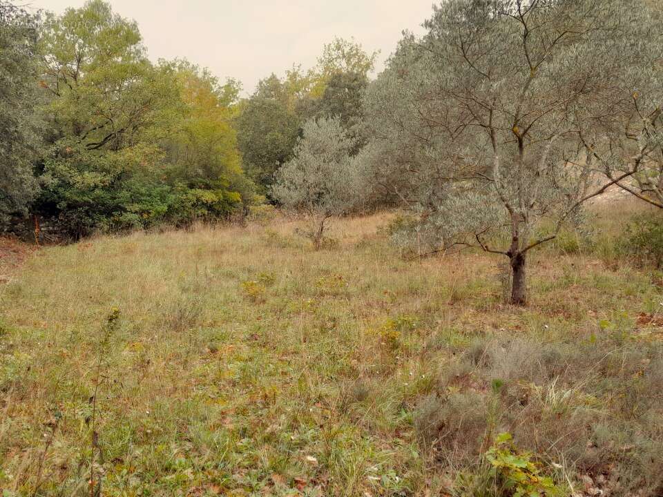Terrain à SAINT-MAXIMIN-LA-SAINTE-BAUME