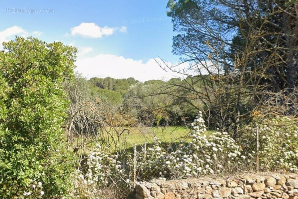 Terrain à BIZANET