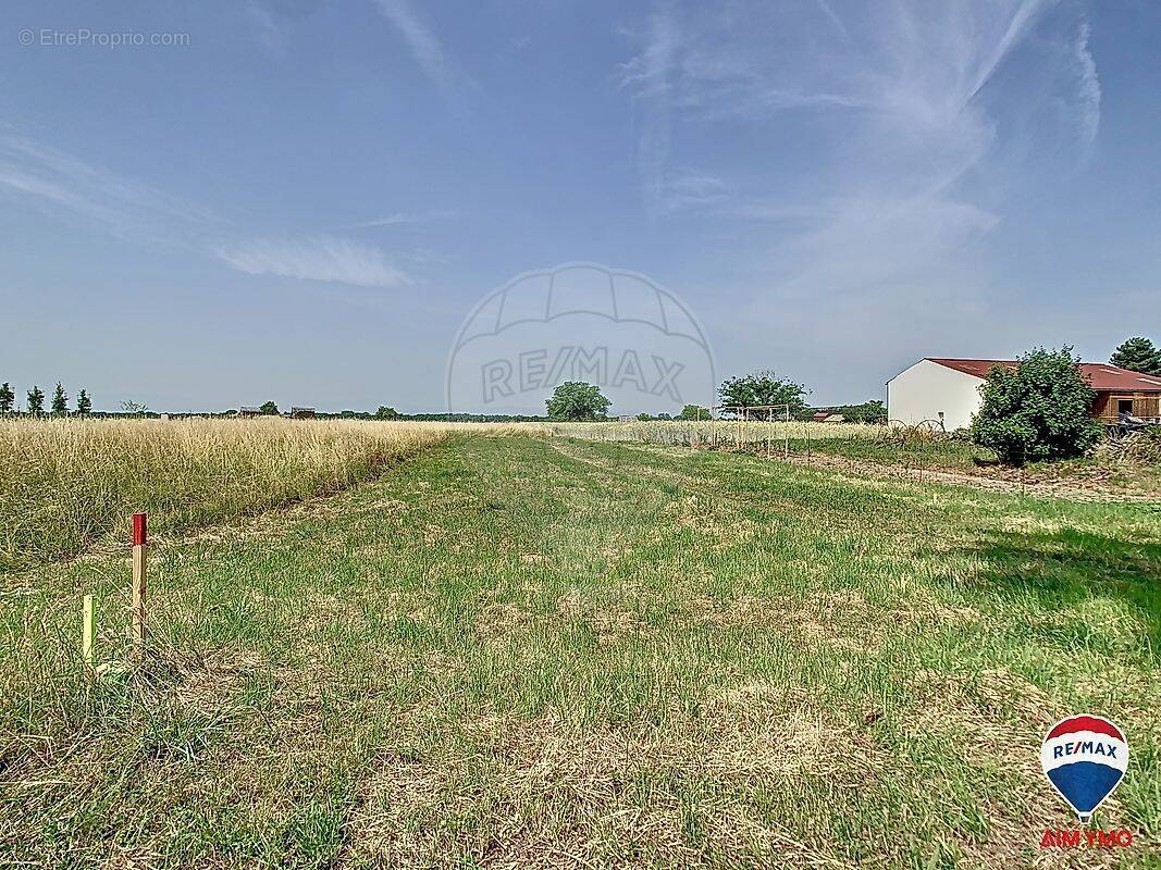 Terrain à DESSENHEIM