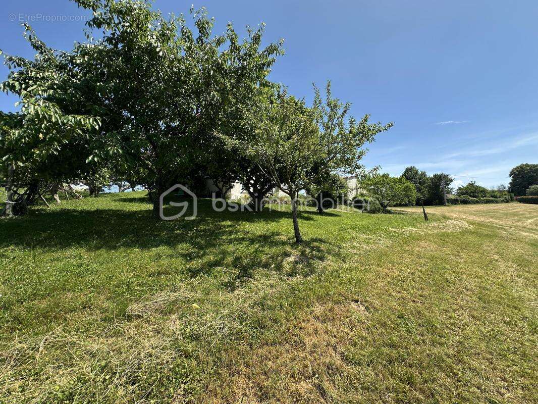 En exclusivité maison de 116 m2 5 pièces, terrain de 2530 m2  dans un endroit proche de PAU - photo 16