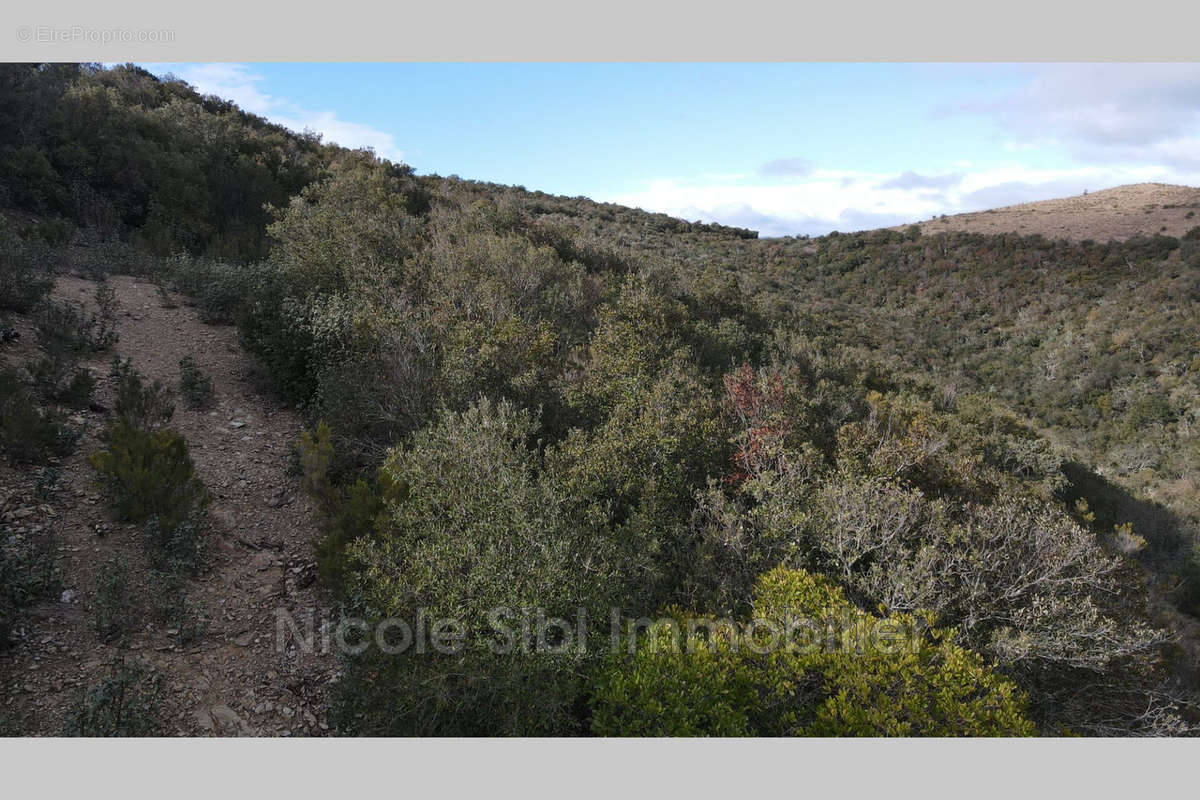 Terrain à RASIGUERES