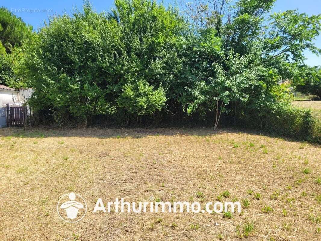 Terrain à SAINT-JEAN-D'ANGELY