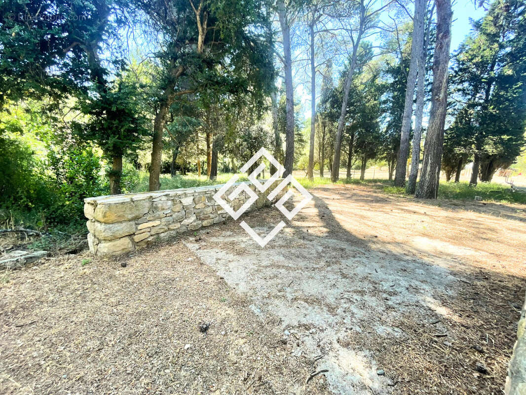 Maison à BIZE-MINERVOIS