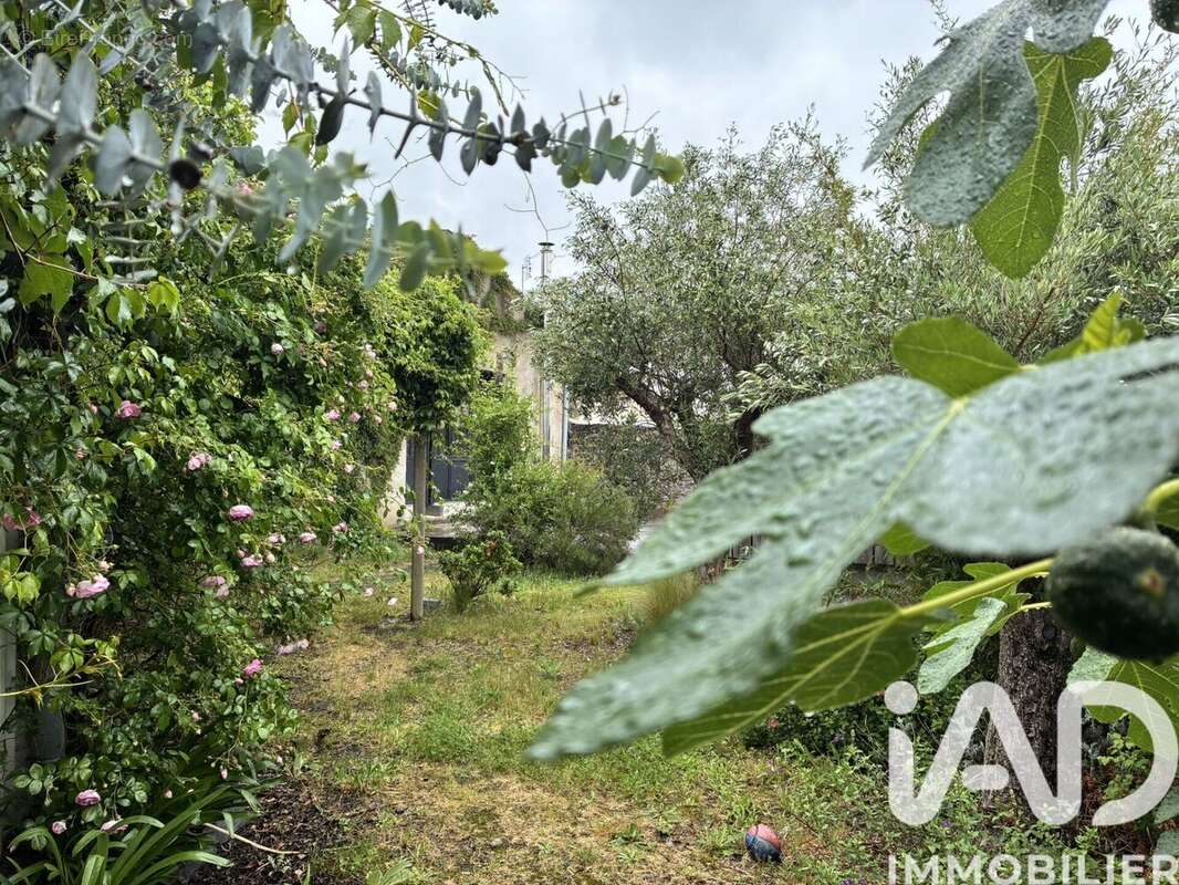 Photo 8 - Maison à CHALONNES-SUR-LOIRE