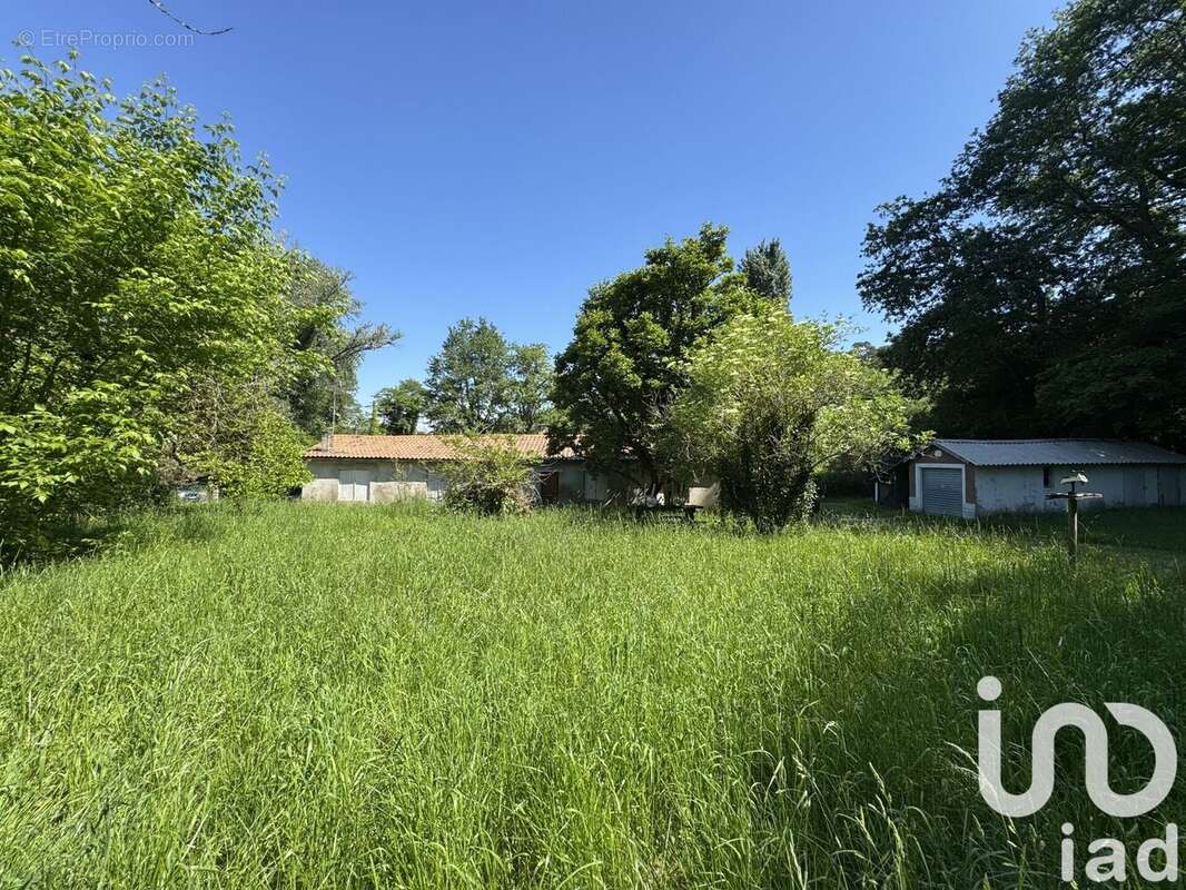 Photo 3 - Maison à CENAC