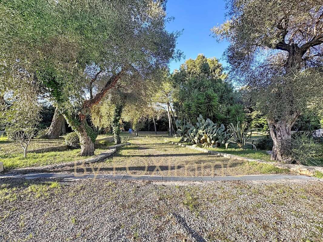 Maison à ANTIBES
