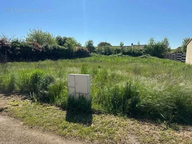 Terrain à CHATEAU-LARCHER